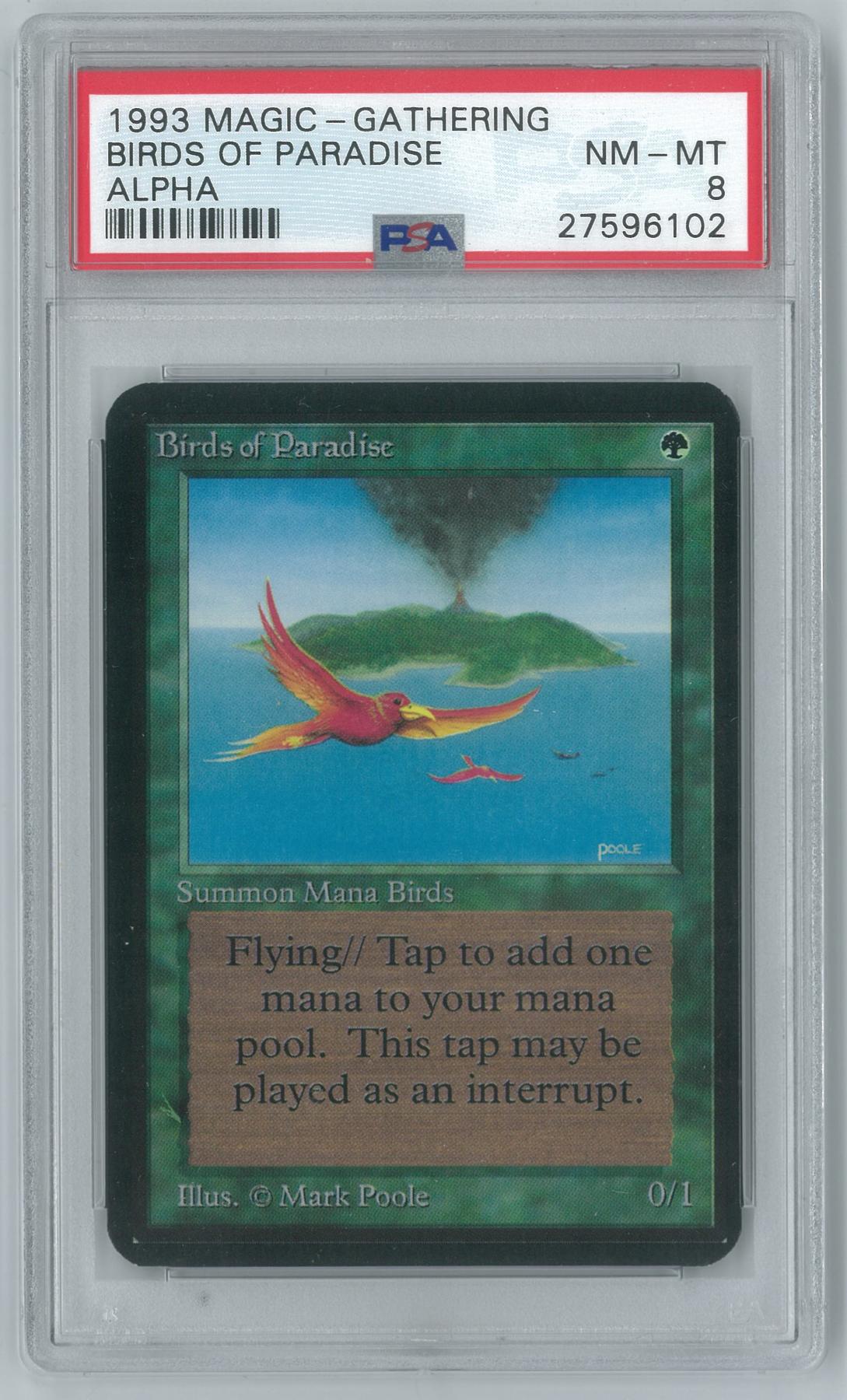 Magic the Gathering Alpha Single Birds of Paradise PSA 8 | DA Card World