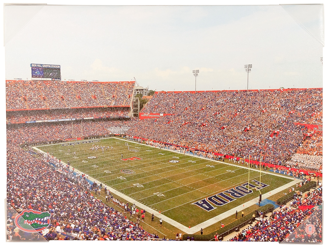 University Of Florida Gators Artissimo Ben Hill Griffin Stadium 24x18 