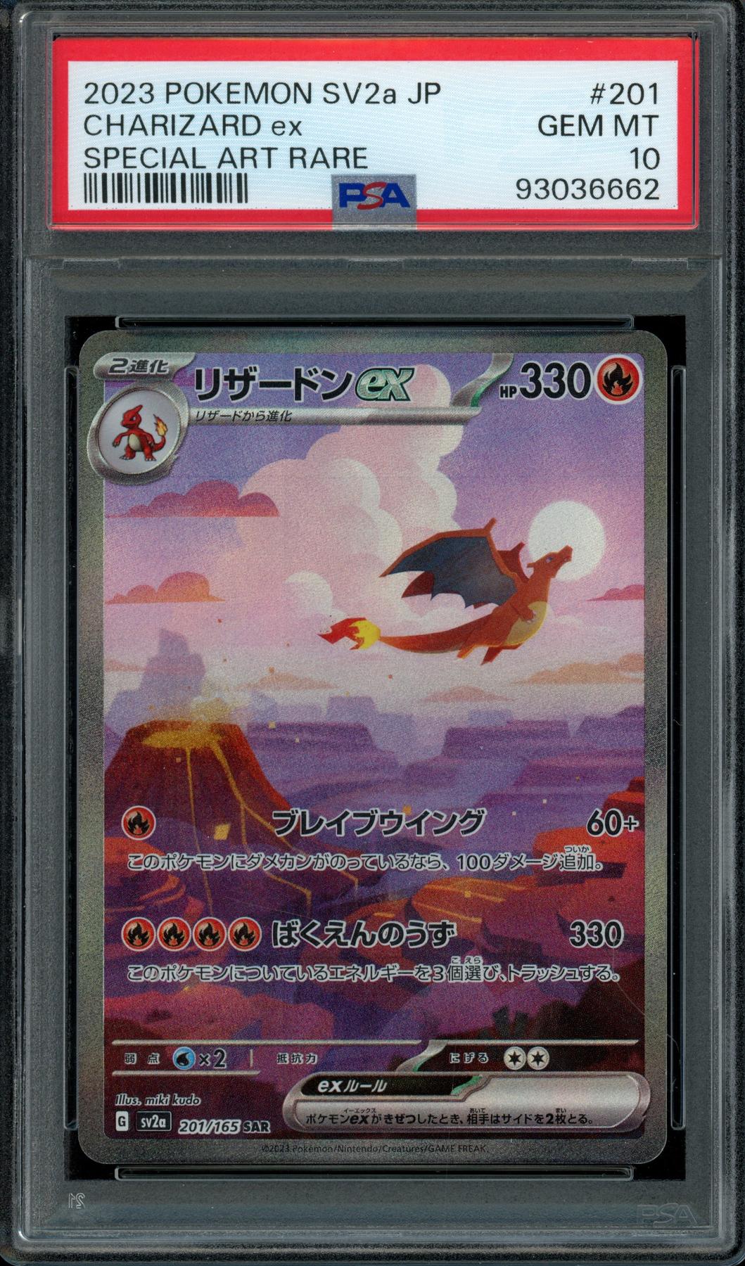 Shop - Hit Parade Collection