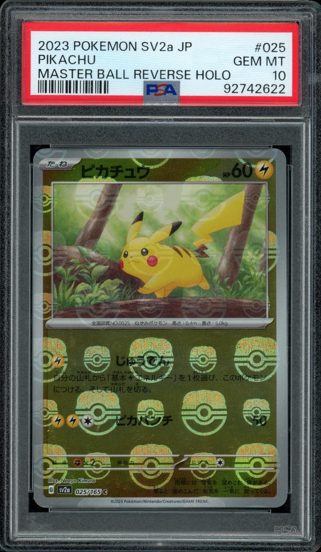 Shop - Hit Parade Collection