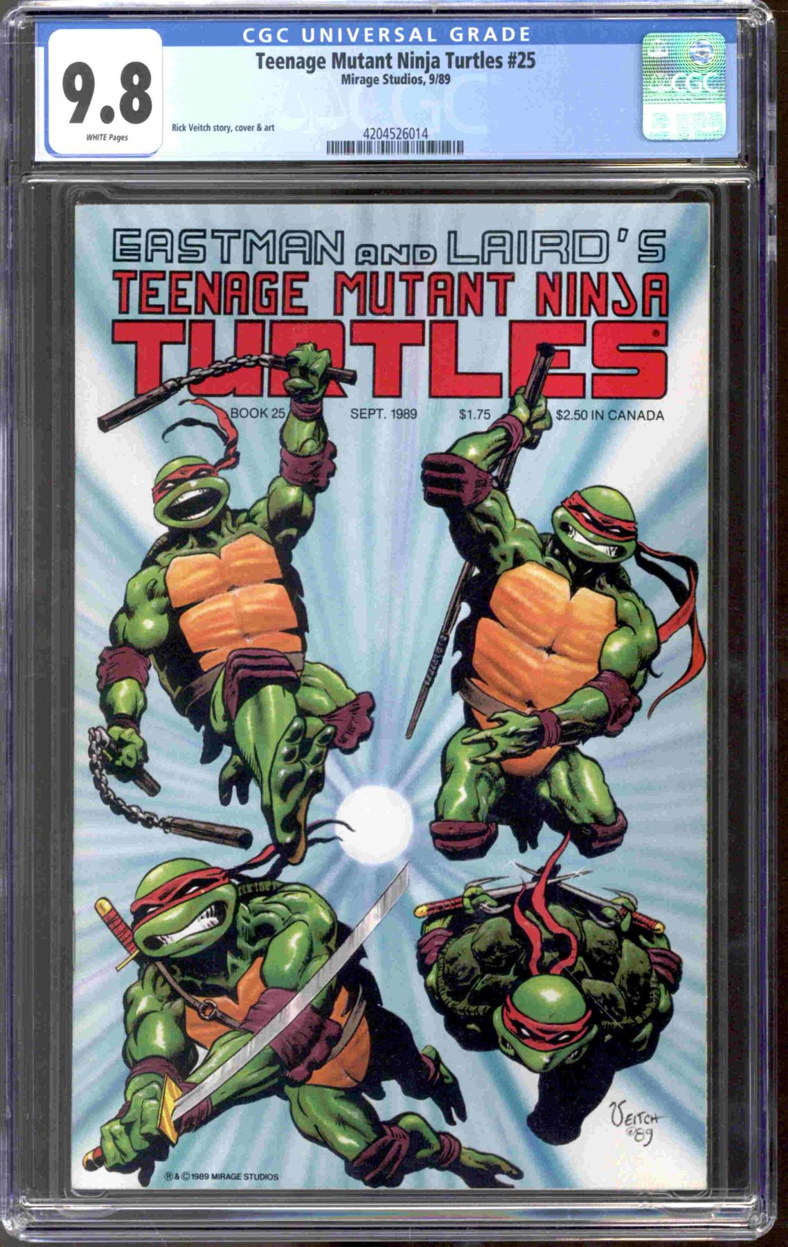 Teenage Mutant Ninja Turtles #25 CGC 9.8 (W) | DA Card World