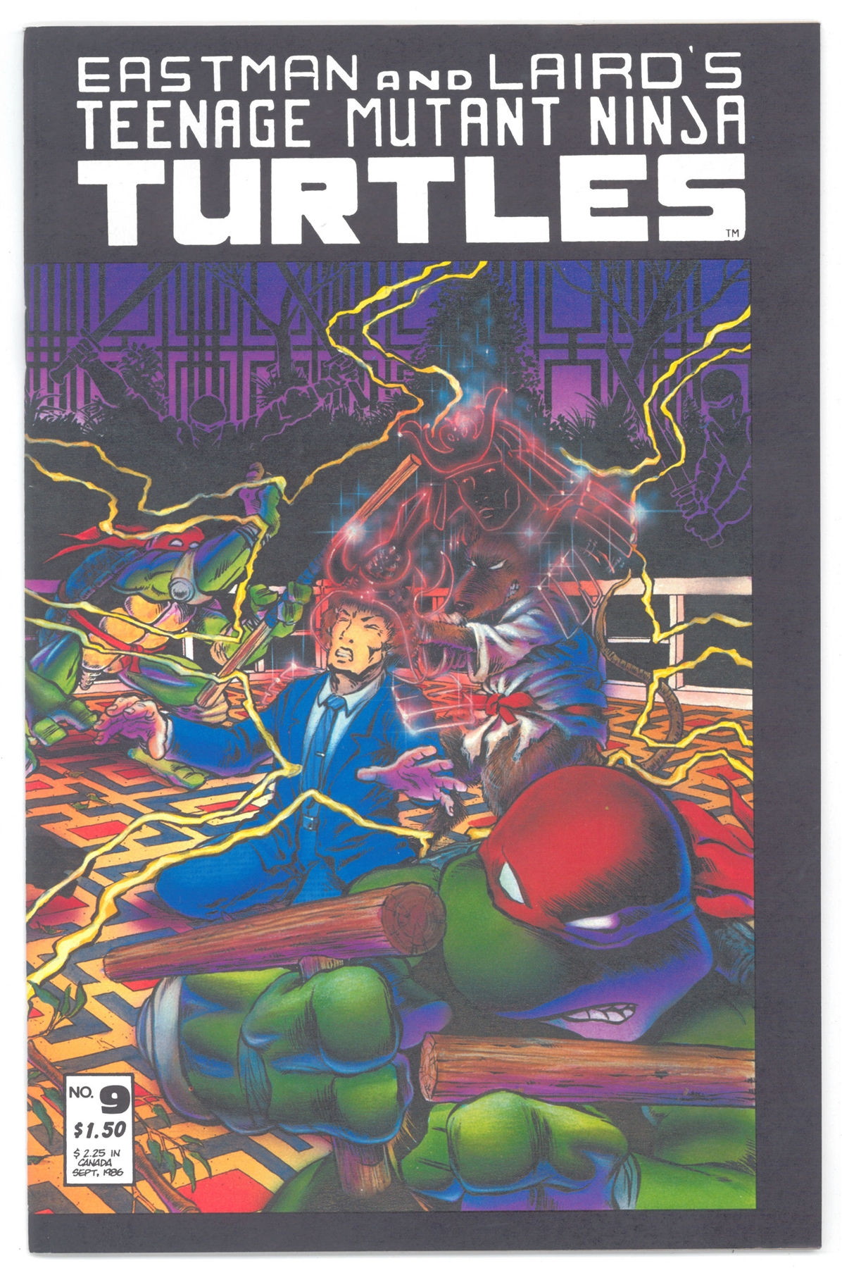 Teenage Mutant Ninja Turtles #9 NM | DA Card World