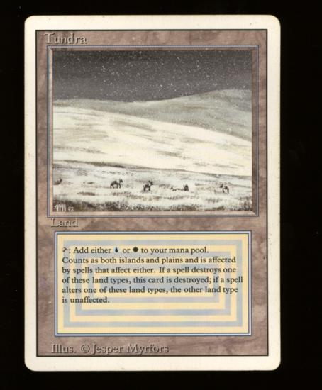 Image for Magic the Gathering 3rd Edition Revised Tundra MODERATELY PLAYED MP *000