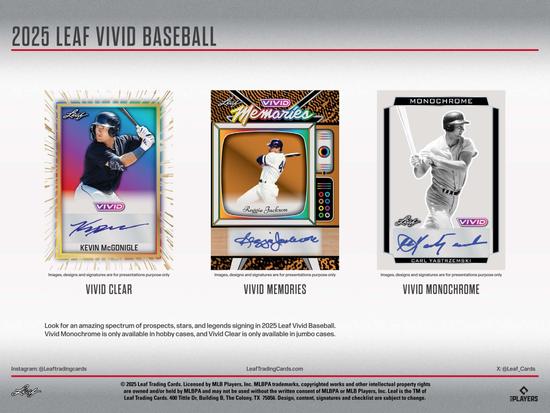 Image for 2025 Leaf Vivid Baseball Hobby Box