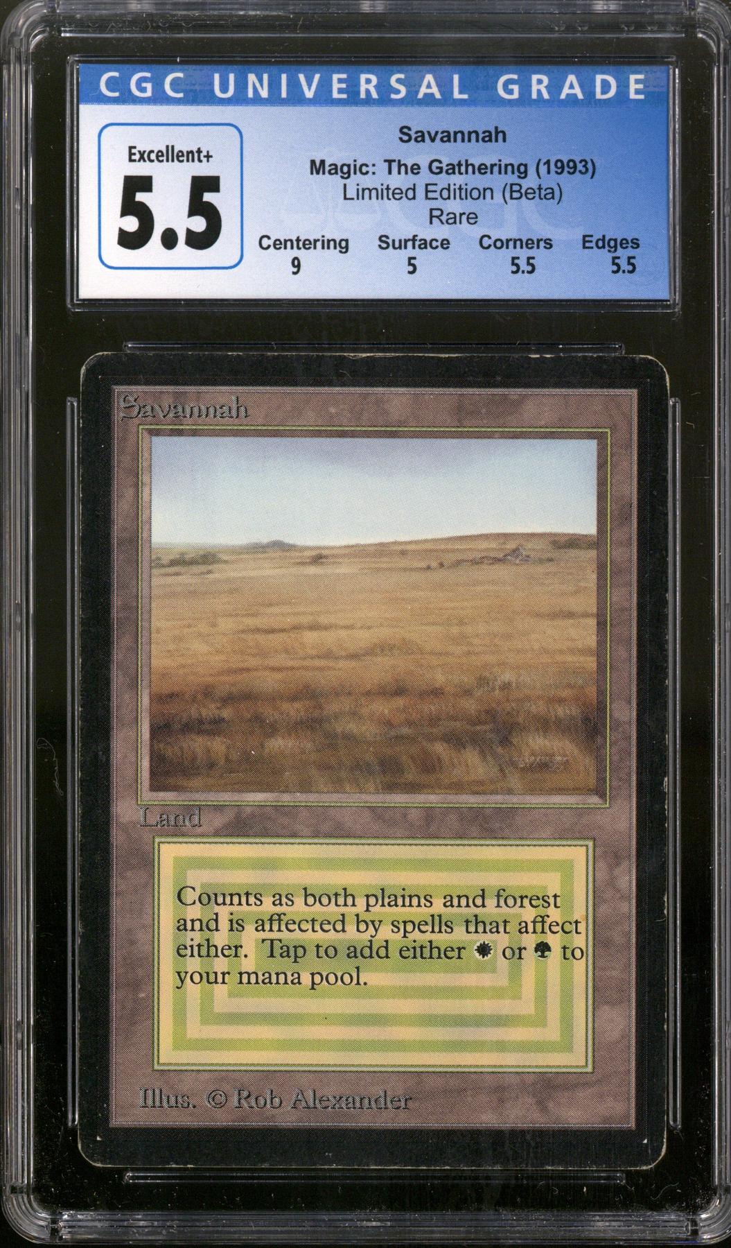 2021年新作 MTG scrubland MP- ecousarecycling.com