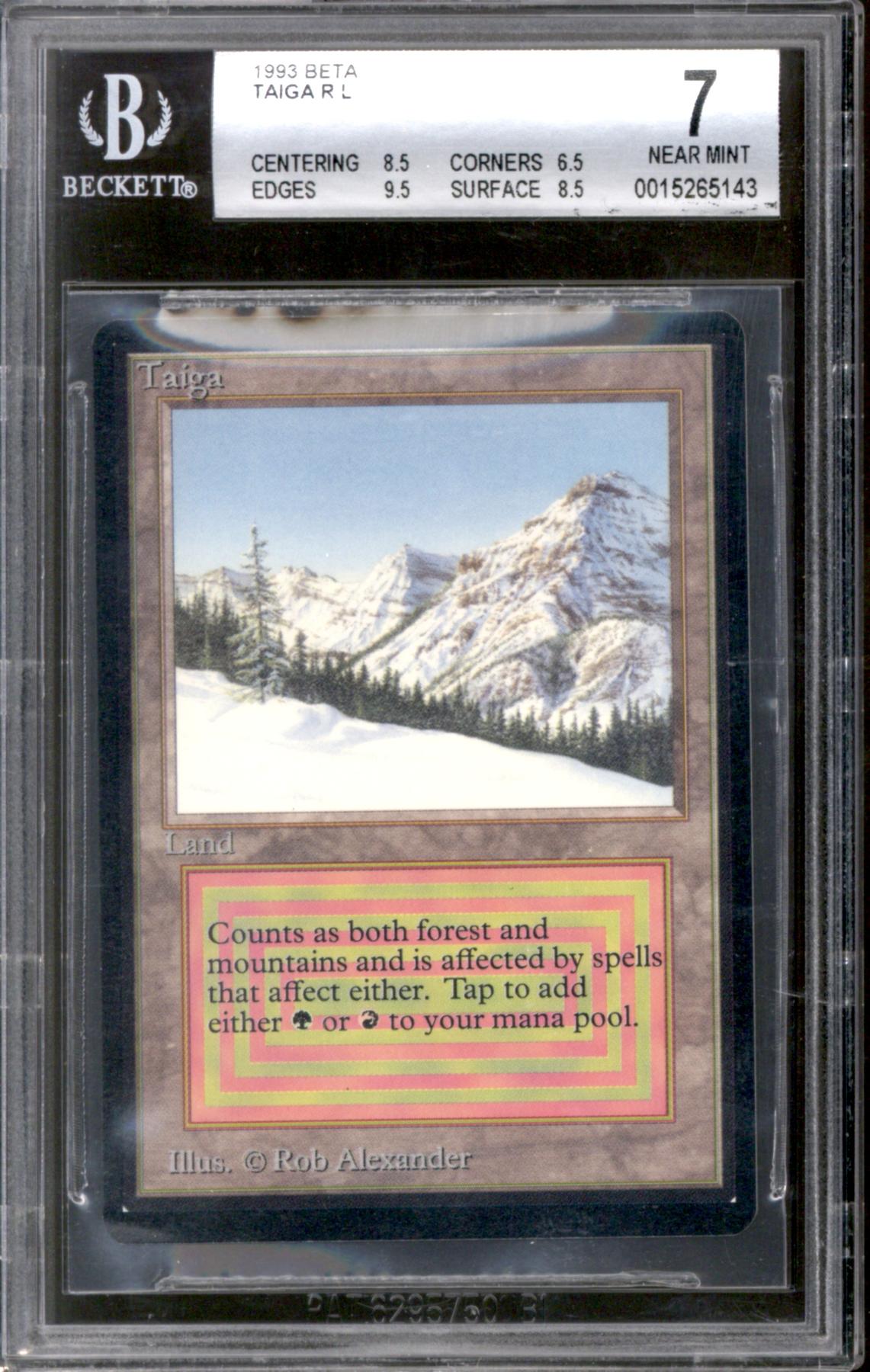 785547a.jpg