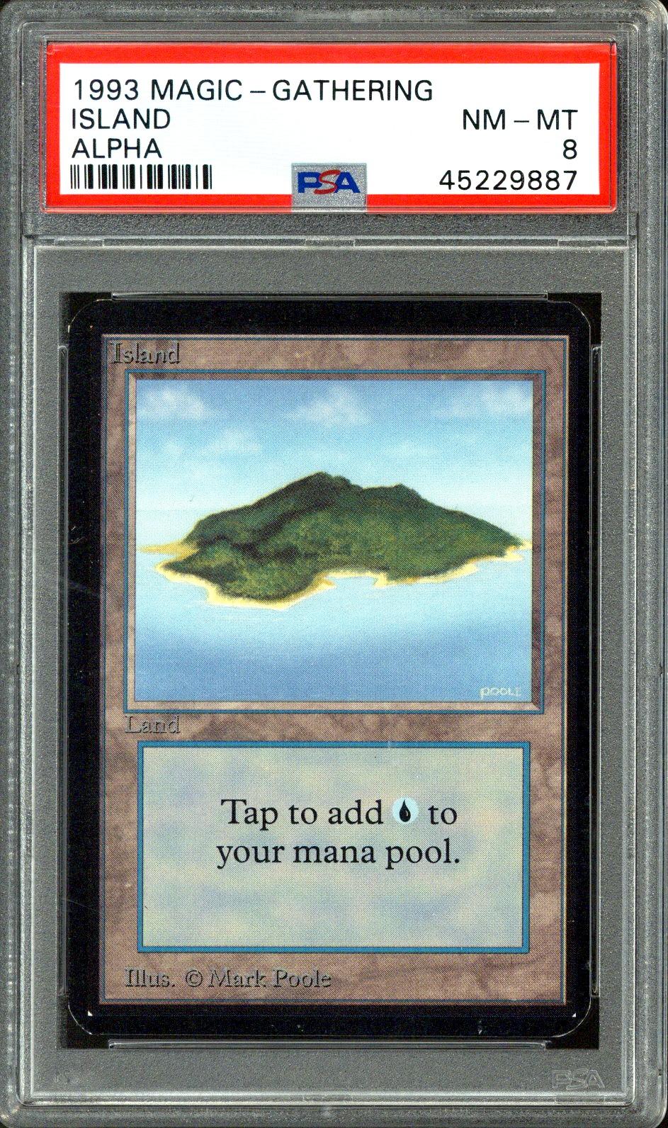 MTG 森 α PSA8 MTG 森 α PSA8 MTG 森 α PSA8 MTG 森 α PSA8 Forest - Alpha - MTG - NM