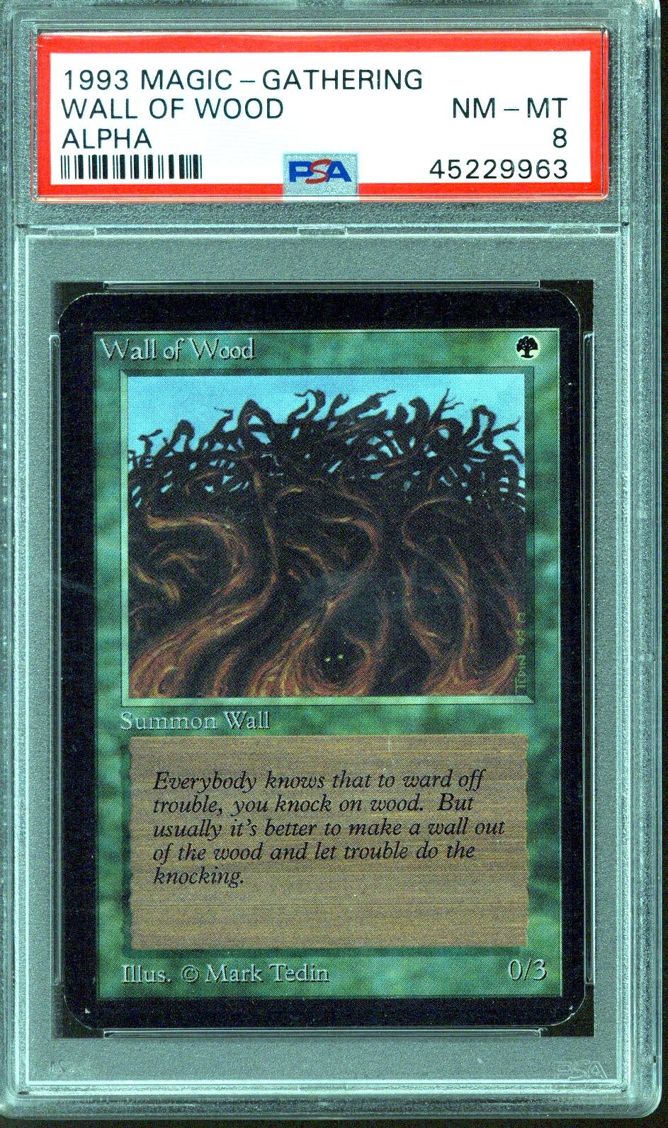 Magic the Gathering Alpha Wall of Wood PSA 8 | DA Card World
