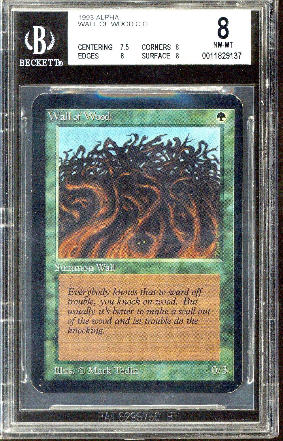 Magic the Gathering Alpha Wall of Wood BGS 8 (7.5, 8, 8, 8) | DA Card World