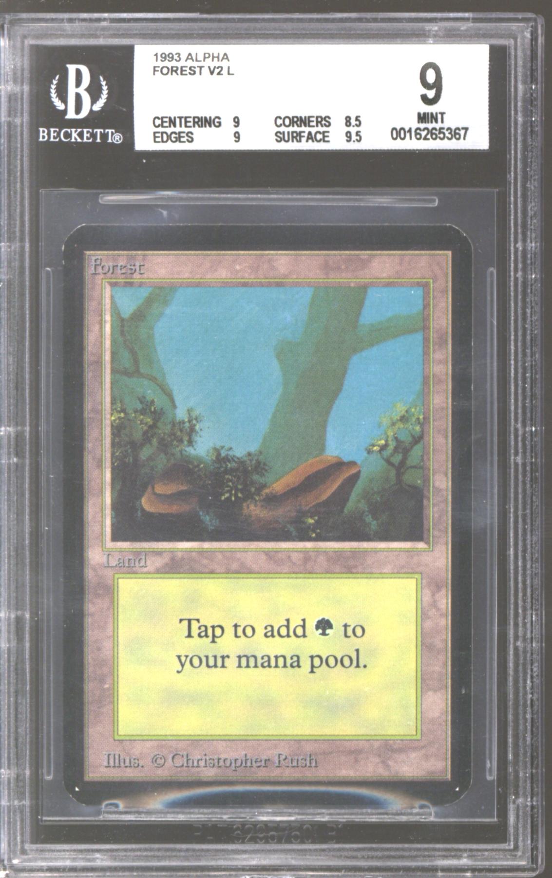 Magic the Gathering Alpha Forest (Blue) BGS 9 (9, 8.5, 9, 9.5) | DA ...