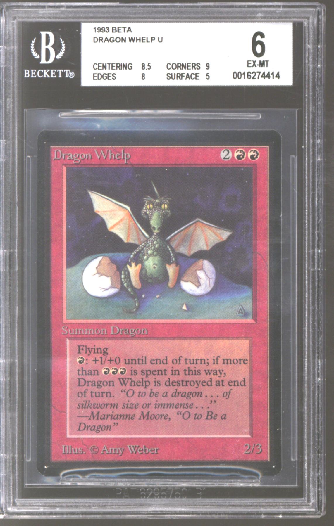 Magic the Gathering Beta Dragon Whelp BGS 6 (8.5, 9, 8, 5) | DA Card World