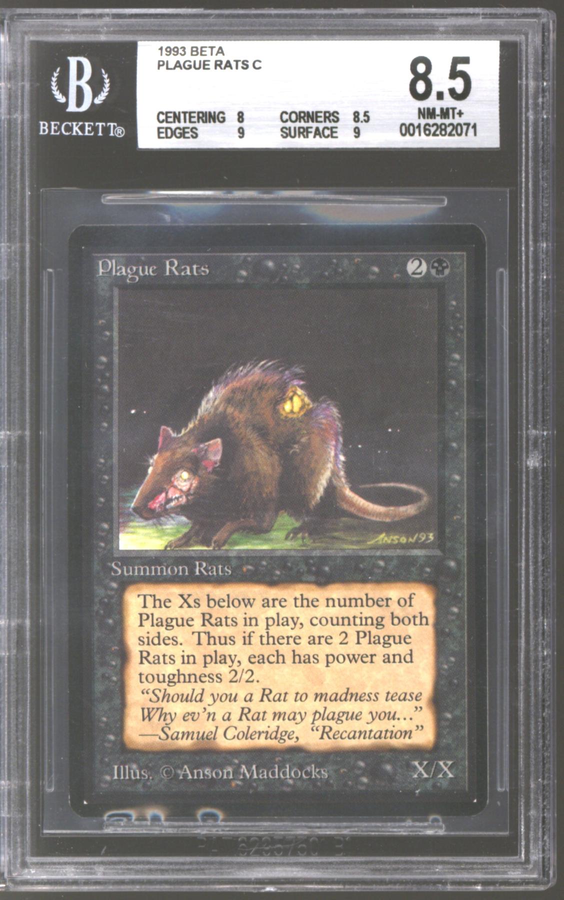 Magic the Gathering Beta Plague Rats BGS 8.5 (8, 8.5, 9, 9) | DA Card World