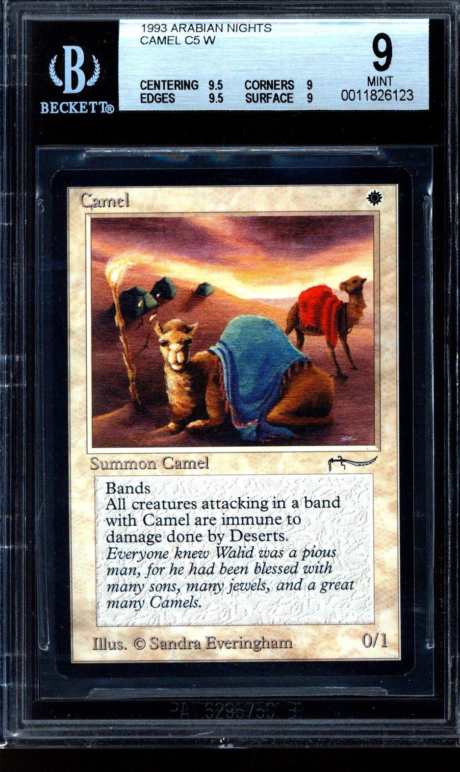 Magic the Gathering Arabian Nights Camel BGS 9 (9.5, 9, 9.5, 9) Q++ ...