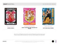 Image for 2024/25 Panini Select Basketball Mega 20-Box Case (Blue,Pink,Orange Cracked Ice!)