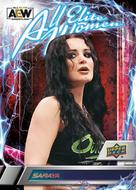 Image for 2023 Upper Deck All Elite Wrestling AEW Blaster 20-Box Case