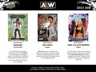 Image for 2023 Upper Deck All Elite Wrestling AEW Hobby Box