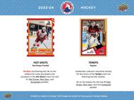 Image for 2023/24 Upper Deck AHL Hockey Hobby 24-Box Case