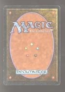 Image for Magic the Gathering 3rd Ed Revised Taiga LIGHTLY PLAYED (LP) *504