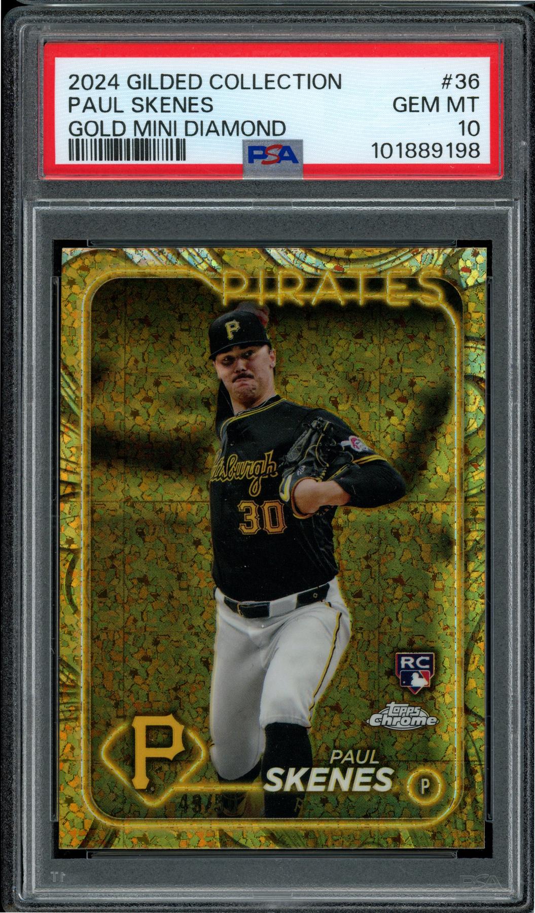 Shop - Hit Parade Collection