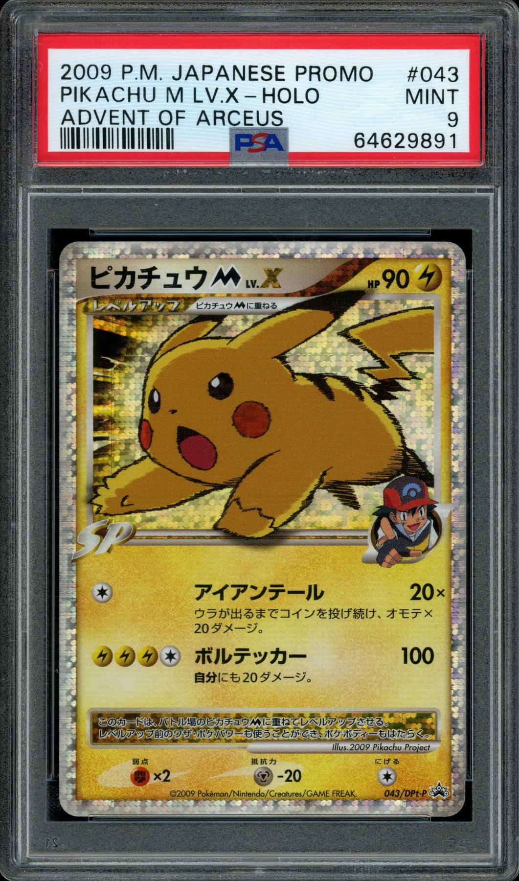 Shop - Hit Parade Collection