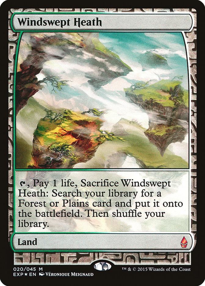 Mtg foil 湿地の干潟 Zendikar Expeditions mtg 湿地の干潟 Zendikar Expeditions 2枚セット Misty